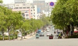 泗阳最新爆料,揭秘当地热点事件背后的真相